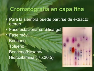Cromatografía en capa fina
• Para la siembra puede partirse de extracto
etereo
• Fase estacionaria: Silica gel
• Fase móvil:
Benceno
Tolueno
Benceno/Hexano/
Hidroxilamina ( 75:30:5)
 