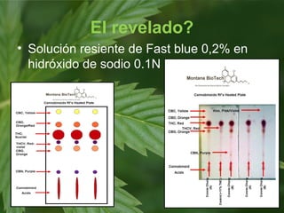 El revelado?
• Solución resiente de Fast blue 0,2% en
hidróxido de sodio 0.1N
 