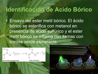 Identificación de Acido Bórico
• Ensayo del ester metil bórico. El ácido
bórico se esterifica con metanol en
presencia de acido sulfúrico y el ester
metil bórico se inflama con llamas con
bordes verde esmeralda
 