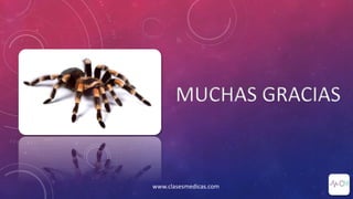 MUCHAS GRACIAS
www.clasesmedicas.com
 