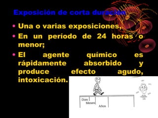 Exposición de corta duración
• Una o varias exposiciones,
• En un período de 24 horas o
  menor;
• El     agente     químico     es
  rápidamente      absorbido     y
  produce       efecto      agudo,
  intoxicación.
 