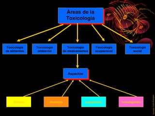 Áreas de la
                                    Toxicología




Toxicología    Toxicología            Toxicología      Tox...