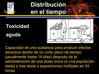 Distribución
              en el tiempo

Toxicidad
aguda

Capacidad de una sustancia para producir efectos
adversos dentro de un corto plazo de tiempo
(usualmente hasta 14 días) después de la
administración de una dosis única (o una exposición
dada) o tras dosis o exposiciones múltiples en 24
horas.
 