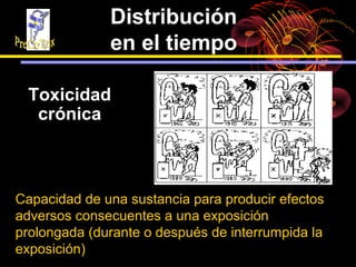 Distribución
              en el tiempo

 Toxicidad
  crónica



Capacidad de una sustancia para producir efectos
adversos consecuentes a una exposición
prolongada (durante o después de interrumpida la
exposición)
 