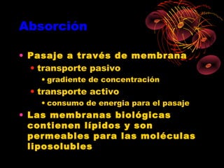 Absorción

• Pasaje a través de membrana
  • transporte pasivo
   • gradiente de concentración
 • transporte activo
   • consumo de energia para el pasaje
• Las membranas biológicas
  contienen lípidos y son
  permeables para las moléculas
  liposolubles
 
