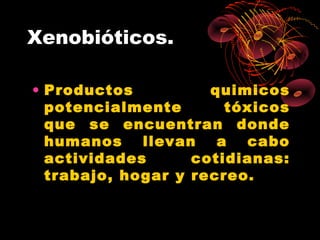 Xenobióticos.

• Productos          quimicos
  potencialmente       tóxicos
  que se encuentran donde
  humanos    llevan   a  cabo
  actividades      cotidianas:
  trabajo, hogar y recreo.
 
