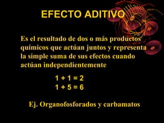 EFECTO ADITIVO

Es el resultado de dos o más productos
químicos que actúan juntos y representa
la simple suma de sus efectos cuando
actúan independientemente
          1+1=2
          1+5=6

  Ej. Organofosforados y carbamatos
 