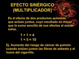 EFECTO SINÉRGICO
    (MULTIPLICADOR)
 Es el efecto de dos productos químicos
 que actúan juntos, cuyo resultado es mayor
 que la suma sencilla de sus efectos al actuar
 solos.
         1+1=4
         1 + 5 = 10
Ej. Aumento del riesgo de cáncer de pulmón
cuando actúan juntos las fibras de asbesto y el
humo del cigarrillo.
 