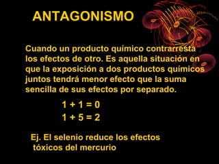 ANTAGONISMO

Cuando un producto químico contrarresta
los efectos de otro. Es aquella situación en
que la exposición a dos productos químicos
juntos tendrá menor efecto que la suma
sencilla de sus efectos por separado.
        1+1=0
        1+5=2

 Ej. El selenio reduce los efectos
 tóxicos del mercurio
 