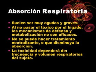 Absorción Respiratoria
• Suelen ser muy agudas y graves.
• Al no pasar el tóxico por el hígado,
  los mecanismos de defensa y
  metabolización no son eficaces.
• No se puede hacer tratamiento
  neutralizante, o que disminuya la
  absorción.
• La toxicidad dependerá de:
  frecuencia y volumen respiratorios
  del sujeto.
 