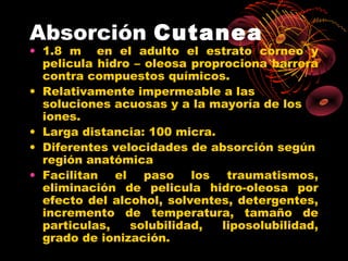Absorción Cutanea
• 1.8 m en el adulto el estrato corneo y
  pelicula hidro – oleosa proprociona barrera
  contra compuestos químicos.
• Relativamente impermeable a las
  soluciones acuosas y a la mayoría de los
  iones.
• Larga distancia: 100 micra.
• Diferentes velocidades de absorción según
  región anatómica
• Facilitan el paso los traumatismos,
  eliminación de pelicula hidro-oleosa por
  efecto del alcohol, solventes, detergentes,
  incremento de temperatura, tamaño de
  particulas,   solubilidad,   liposolubilidad,
  grado de ionización.
 