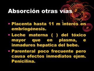 Absorción otras vías
                      2
• Placenta hasta 11 m interés en
  embriogénesis.
• Leche materna ( ) del tóxico
  mayor    que   en  plasma,   e
  inmadures hepatica del bebe.
• Parenteral poco frecuente pero
  causa efectos inmediatos ejem.
  Penicilina.
 