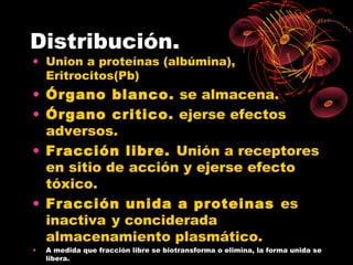 Distribución.
• Union a proteínas (albúmina),
  Eritrocitos(Pb)
• Órgano blanco. se almacena.
• Órgano critico. ejerse efectos
  adversos.
• Fracción libre. Unión a receptores
  en sitio de acción y ejerse efecto
  tóxico.
• Fracción unida a proteinas es
  inactiva y conciderada
  almacenamiento plasmático.
•   A medida que fracción libre se biotransforma o elimina, la forma unida se
    libera.
 