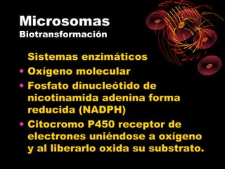 Microsomas
Biotransformación

  Sistemas enzimáticos
• Oxígeno molecular
• Fosfato dinucleótido de
  nicotinamida adenina forma
  reducida (NADPH)
• Citocromo P450 receptor de
  electrones uniéndose a oxígeno
  y al liberarlo oxida su substrato.
 
