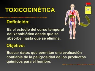 TOXICOCINÉTICATOXICOCINÉTICA
Objetivo:
Buscar datos que permitan una evaluación
confiable de la peligrosidad de los productos
químicos para el hombre.
Es el estudio del curso temporal
del xenobiótico desde que se
absorbe, hasta que se elimina.
Definición:
 