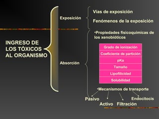 Activo Filtración
Fenómenos de la exposición
Endocitocis
INGRESO DE
LOS TÓXICOS
AL ORGANISMO
Vías de exposición
•Propiedades fisicoquímicas de
los xenobióticos
Grado de ionización
Coeficiente de partición
pKa
Tamaño
Lipofilicidad
Solubilidad
•Mecanismos de transporte
Pasivo
Absorción
Exposición
 