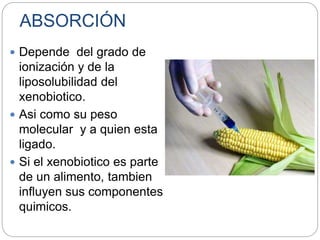 ABSORCIÓN
 Depende del grado de
ionización y de la
liposolubilidad del
xenobiotico.
 Asi como su peso
molecular y a quien esta
ligado.
 Si el xenobiotico es parte
de un alimento, tambien
influyen sus componentes
quimicos.
 