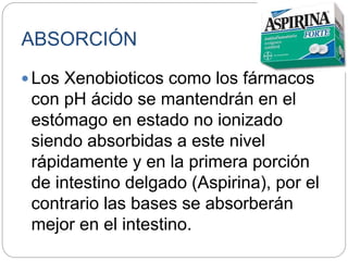 ABSORCIÓN
Los Xenobioticos como los fármacos
con pH ácido se mantendrán en el
estómago en estado no ionizado
siendo absorbidas a este nivel
rápidamente y en la primera porción
de intestino delgado (Aspirina), por el
contrario las bases se absorberán
mejor en el intestino.
 
