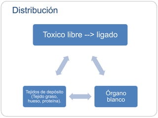 Distribución
Toxico libre --> ligado
Órgano
blanco
Tejidos de depósito
(Tejido graso,
hueso, proteína).
 