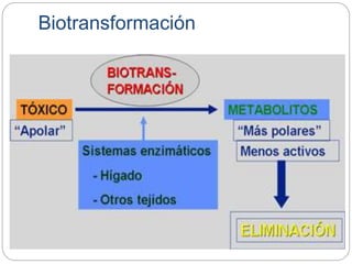 Biotransformación
 