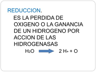 REDUCCION.
ES LA PERDIDA DE
OXIGENO O LA GANANCIA
DE UN HIDROGENO POR
ACCION DE LAS
HIDROGENASAS
H2O 2 H+ + O
 