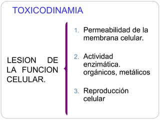 TOXICODINAMIA
LESION DE
LA FUNCION
CELULAR.
1. Permeabilidad de la
membrana celular.
2. Actividad
enzimática.
orgánicos, metálicos
3. Reproducción
celular
 