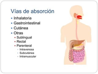 Vías de absorción
 Inhalatoria
 Gastrointestinal
 Cutánea
 Otras
 Sublingual
 Rectal
 Parenteral
 Intravenosa
 Subcutánea
 Intramuscular
 