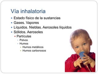 Vía inhalatoria
 Estado físico de la sustancias
 Gases. Vapores
 Líquidos. Nieblas. Aerosoles líquidos
 Sólidos. Aerosoles
 Partículas
 Polvos
 Humos
 Humos metálicos
 Humos carbonosos
 
