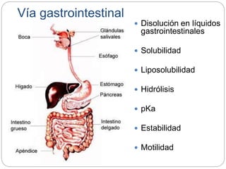 Vía gastrointestinal
 Disolución en líquidos
gastrointestinales
 Solubilidad
 Liposolubilidad
 Hidrólisis
 pKa
 Estabilidad
 Motilidad
 