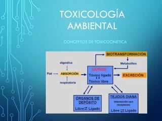 TOXICOLOGÍA
AMBIENTAL
CONCEPTOS DE TOXICOCINÉTICA
 