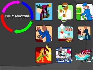Piel Y Mucosas
 
