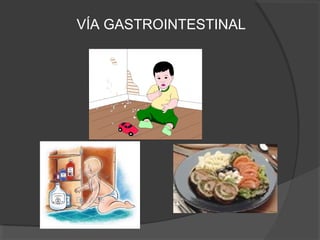 VÍA GASTROINTESTINAL
 