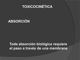 TOXICOCINÉTICA
ABSORCIÓN
Toda absorción biológica requiere
el paso a través de una membrana
 