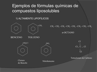 BENCENO
Ejemplos de fórmulas químicas de
compuestos liposolubles
1) ALTAMENTE LIPOFÍLICOS
TOLUENO
-CH3 CH3 - CH2 - CH2 - CH2 - CH2 - CH2 - CH2 - CH3
n-OCTANO
Cloruro
de Bencilo
Nitrobenceno
Cl
Cl C Cl
Cl
Tetracloruro de Carbono
CH2C1 NO2
 
