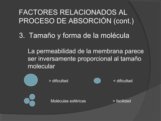 3. Tamaño y forma de la molécula
La permeabilidad de la membrana parece
ser inversamente proporcional al tamaño
molecular
FACTORES RELACIONADOS AL
PROCESO DE ABSORCIÓN (cont.)
> dificultad < dificultad
Moléculas esféricas > facilidad
 