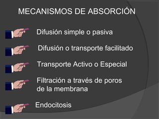 MECANISMOS DE ABSORCIÓN
Difusión o transporte facilitado
Difusión simple o pasiva
Transporte Activo o Especial
Filtración a través de poros
de la membrana
Endocitosis
 