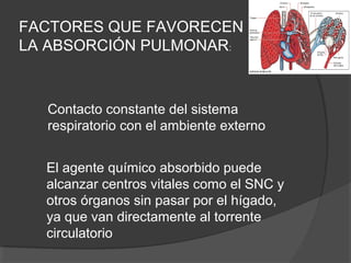 Contacto constante del sistema
respiratorio con el ambiente externo
El agente químico absorbido puede
alcanzar centros vitales como el SNC y
otros órganos sin pasar por el hígado,
ya que van directamente al torrente
circulatorio
FACTORES QUE FAVORECEN
LA ABSORCIÓN PULMONAR:
 