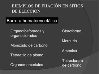 EJEMPLOS DE FIJACIÓN EN SITIOS
DE ELECCIÓN
Barrera hematoencefálica
Organofosforados y
organoclorados
Tetracloruro
de carbono
Cloroformo
Monoxido de carbono
Tetraetilo de plomo
Organomercuriales
Mercurio
Arsénico
 