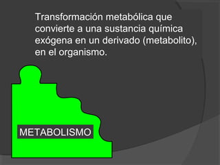 METABOLISMO
Transformación metabólica que
convierte a una sustancia química
exógena en un derivado (metabolito),
en el organismo.
 