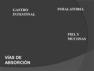 VÍAS DE
ABSORCIÓN
INHALATORIA
PIELY
MUCOSAS
GASTRO
INTESTINAL
 