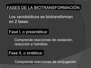 FASES DE LA BIOTRANSFORMACIÓN
Los xenobióticos se biotransforman
en 2 fases:
Fase I, o presintética:
Comprende reacciones de oxidación,
reducción e hidrólisis
Fase II, o sintética:
Comprende reacciones de conjugación.
 