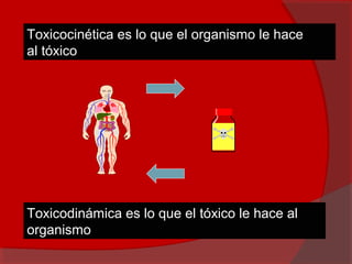 Toxicocinética es lo que el organismo le hace
al tóxico
Toxicodinámica es lo que el tóxico le hace al
organismo
 