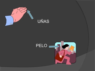 UÑAS
PELO
 