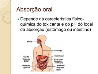 Absorção oral


Depende da característica físicoquímica do toxicante e do pH do local
da absorção (estômago ou intestino)

 