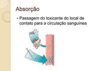 Absorção


Passagem do toxicante do local de
contato para a circulação sanguínea

 