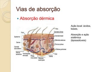 Vias de absorção


Absorção dérmica
Ação local: ácidos,
bases.
Absorção e ação
sistêmica
(lipossolúveis)

 