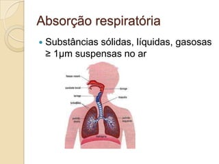 Absorção respiratória


Substâncias sólidas, líquidas, gasosas
≥ 1µm suspensas no ar

 