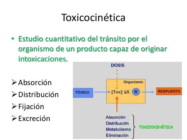 Toxicocinética dosis