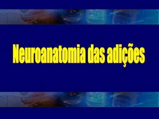 Neuroanatomia das adições 