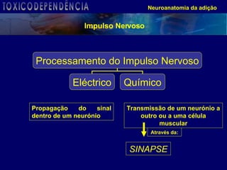 Propagação do sinal dentro de um neurónio Transmissão de um neurónio a outro ou a uma célula muscular Através da: SINAPSE Neuroanatomia da adição Impulso Nervoso TOXICODEPENDÊNCIA Processamento do Impulso Nervoso Eléctrico Químico 